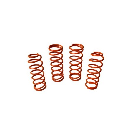 MUELLES RAPTOR DELANTEROS +10 CM NISSAN